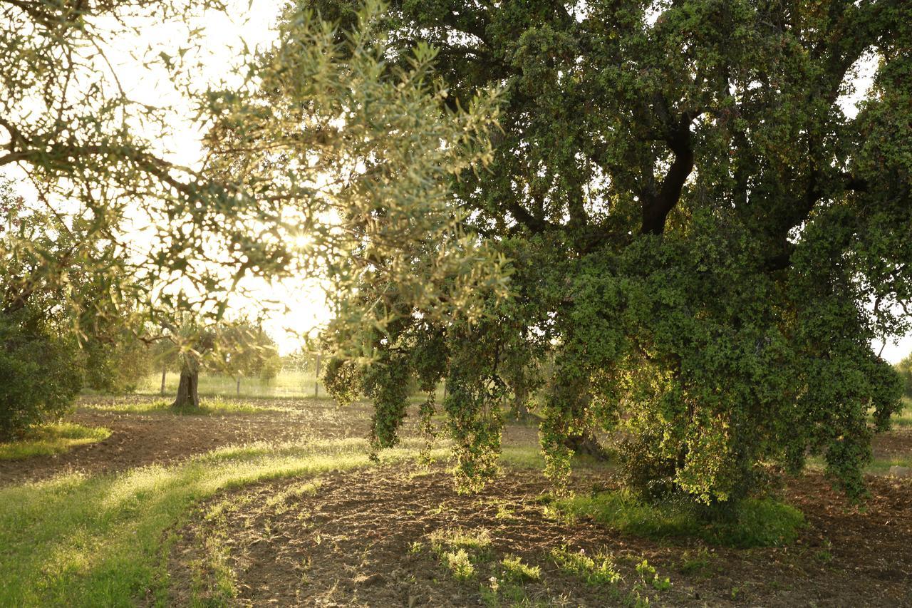 Fazenda Nova Country House タヴィラ エクステリア 写真